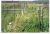 Old Lago Pioneer Cemetery