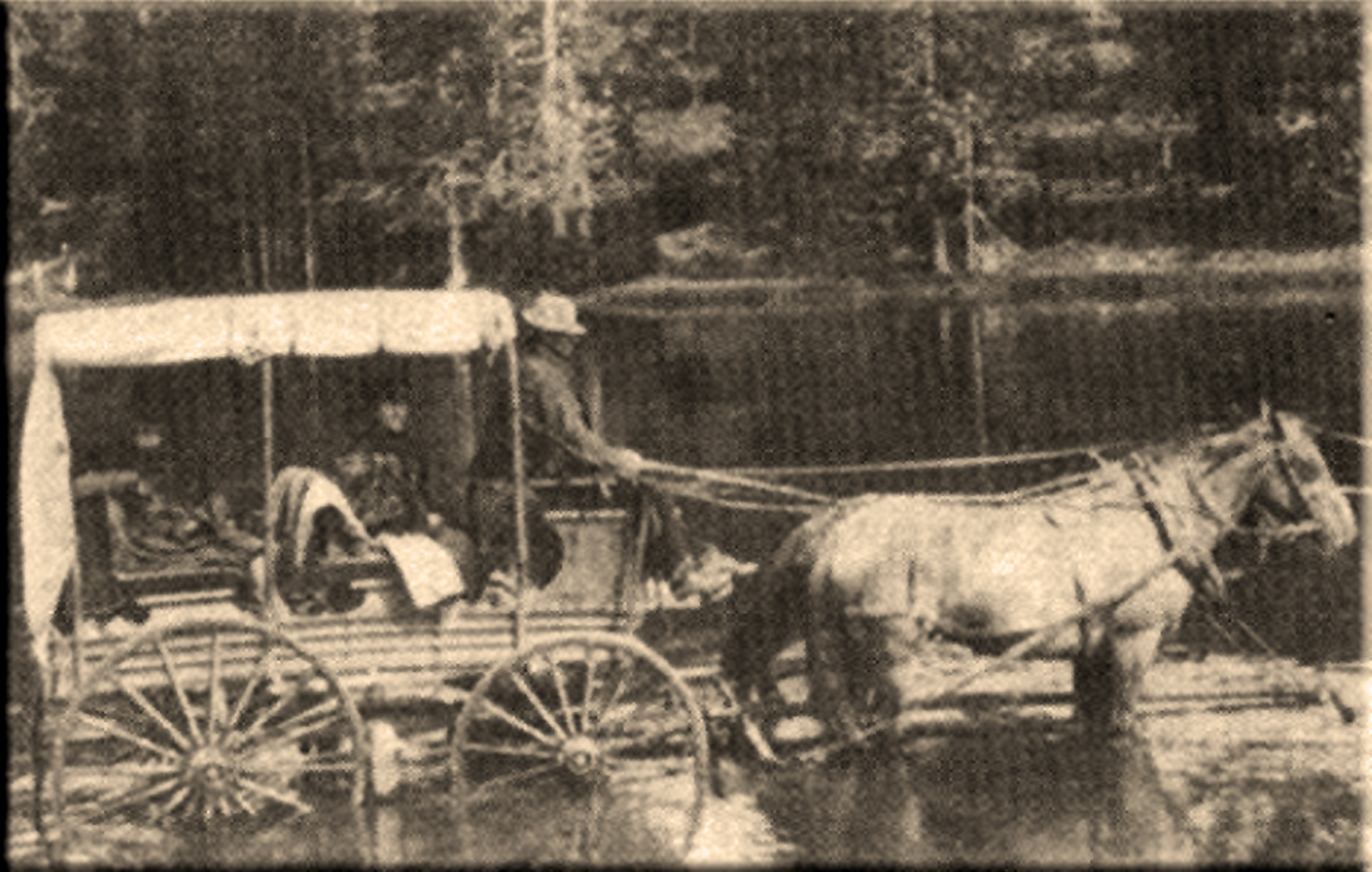 Bassett Brothers Proprietors of Yellowstone National Park Stage Line