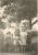 Johansen: Children of Henry Marinius and Vivian Cora Felt. Date Unknown Johansen: Children of Henry Marinius and Vivian Cora Felt. Date Unknown